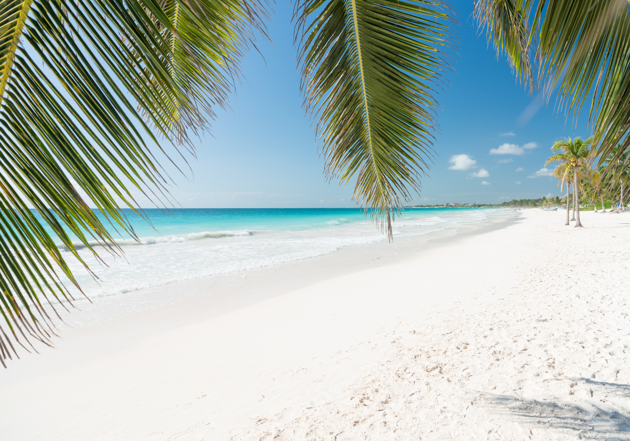 Tropical Beach, Tulum, Mexico